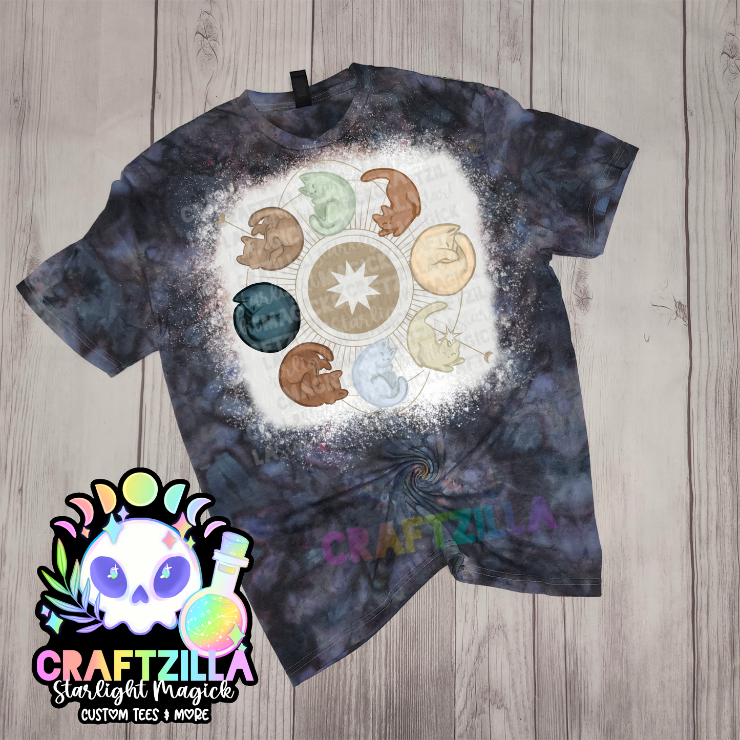 Kitty Moon Phases